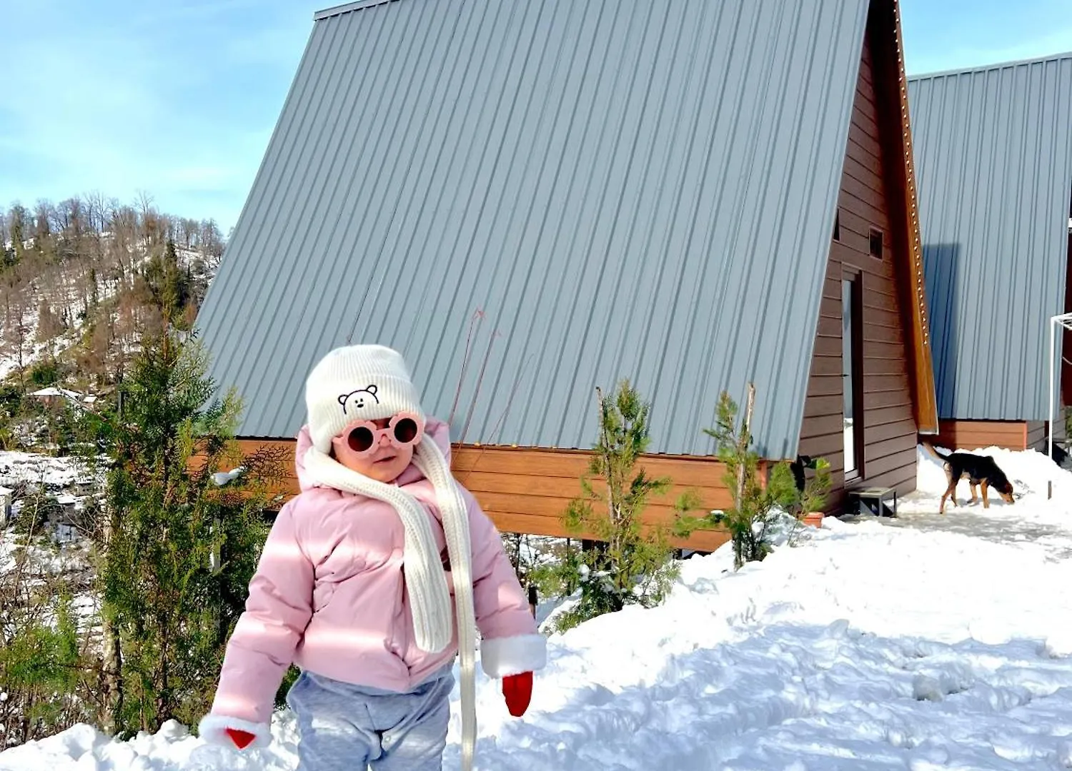 Wayside Cottage Livia Батуми Шале