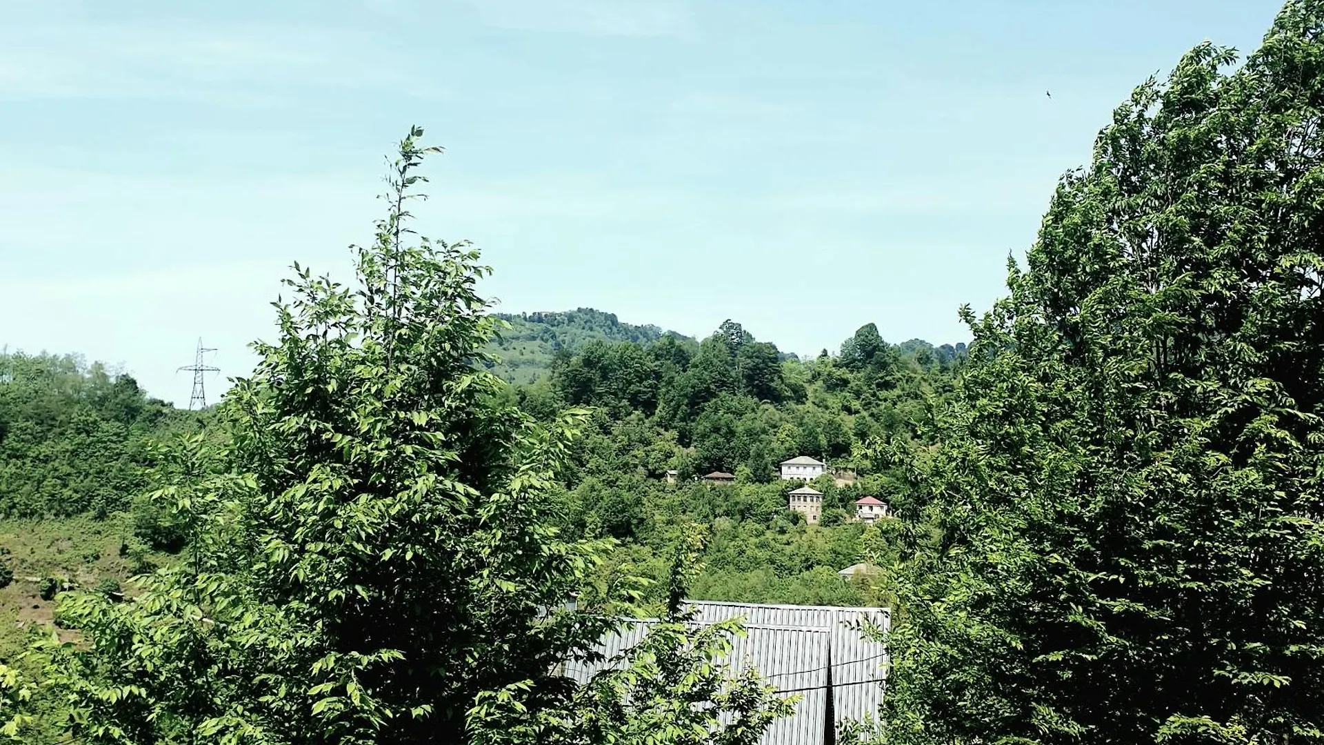 Шале Wayside Cottage Livia Батуми