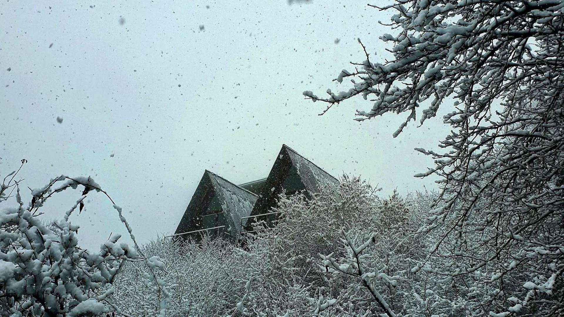 Шале Wayside Cottage Livia Батуми
